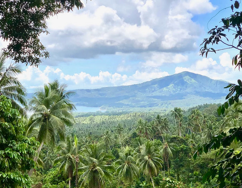 Protecting and restoring forests in Papua New Guinea